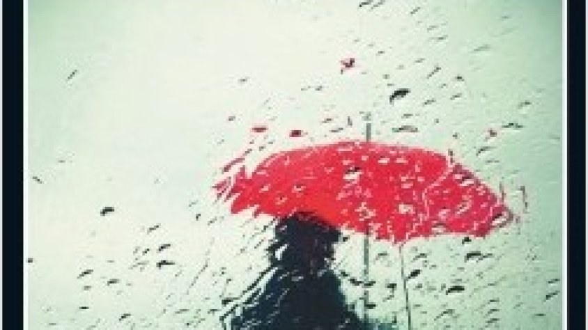 L'Avelín ens recomana "Patria"