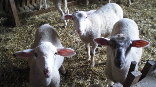 Les co-protagonistes de l'entrevista.