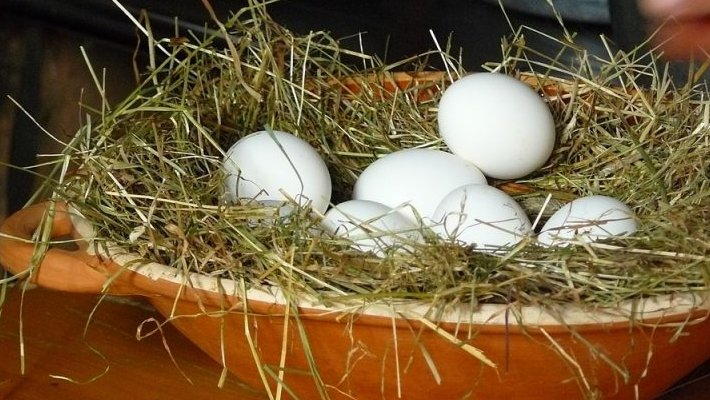 La cistella dels ous blancs