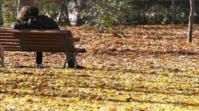 La trucada de l'amor