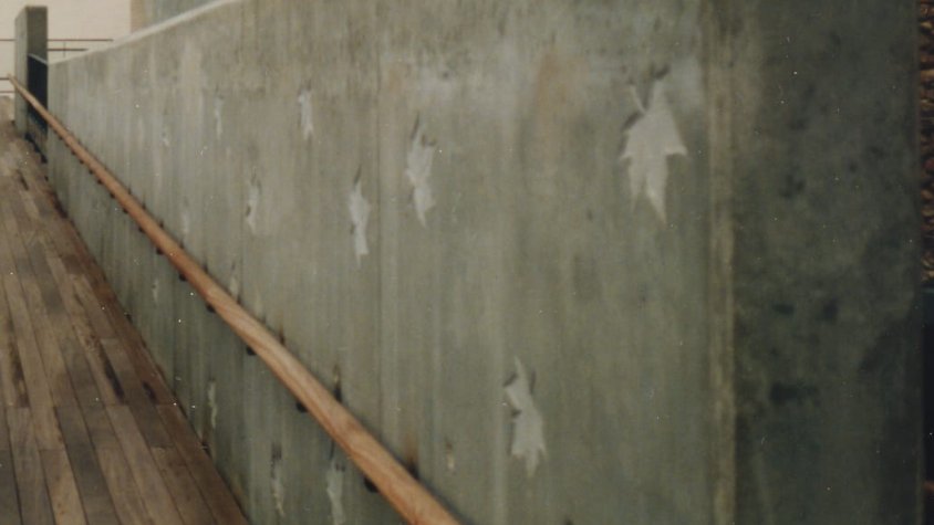 Escola Guillem d'Isarn